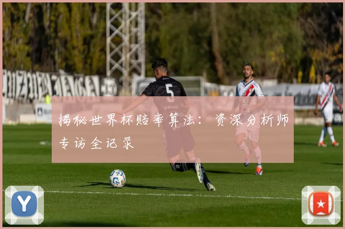 揭秘世界杯赔率算法：资深分析师专访全记录