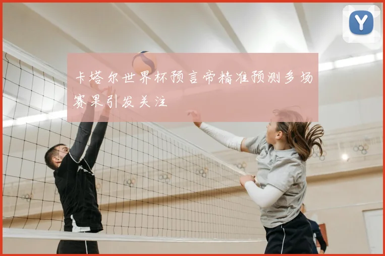 卡塔尔世界杯预言帝精准预测多场赛果引发关注