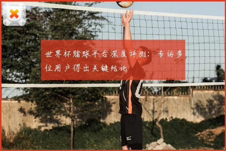 世界杯赌球平台深度评测:专访多位用户得出关键结论