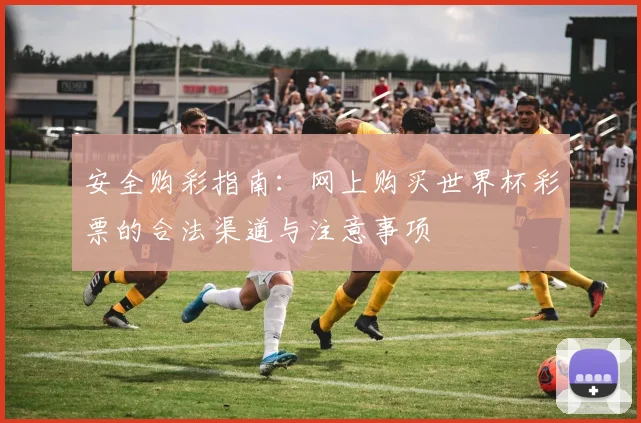 安全购彩指南：网上购买世界杯彩票的合法渠道与注意事项