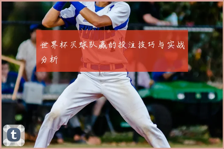 世界杯买球队赢的投注技巧与实战分析