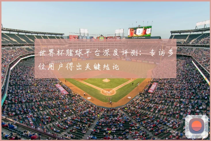 世界杯赌球平台深度评测：专访多位用户得出关键结论