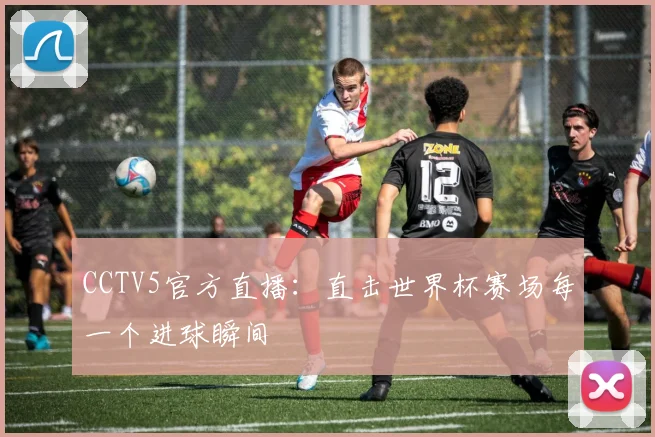 CCTV5官方直播：直击世界杯赛场每一个进球瞬间