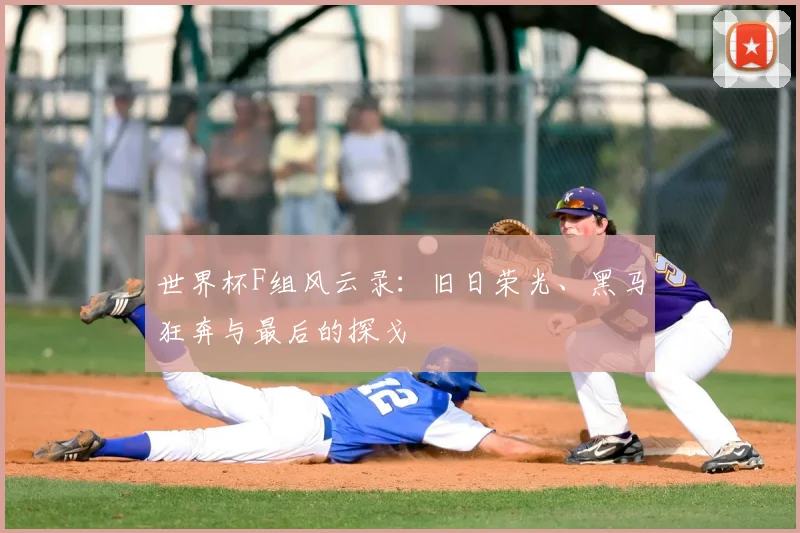 世界杯F组风云录：旧日荣光、黑马狂奔与最后的探戈