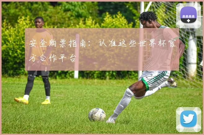 安全购票指南：认准这些世界杯官方合作平台