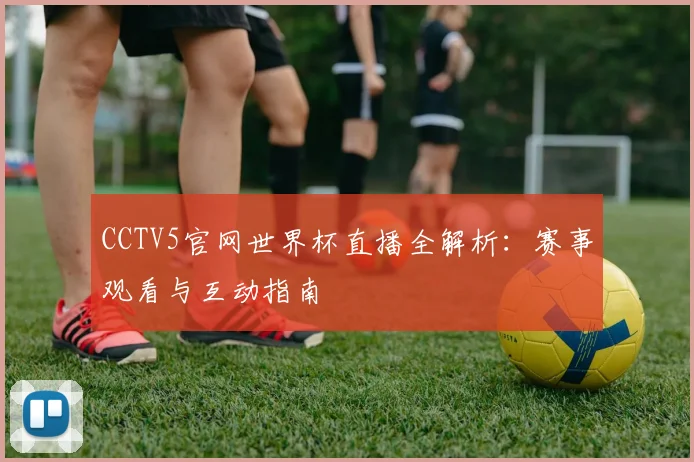 CCTV5官网世界杯直播全解析：赛事观看与互动指南