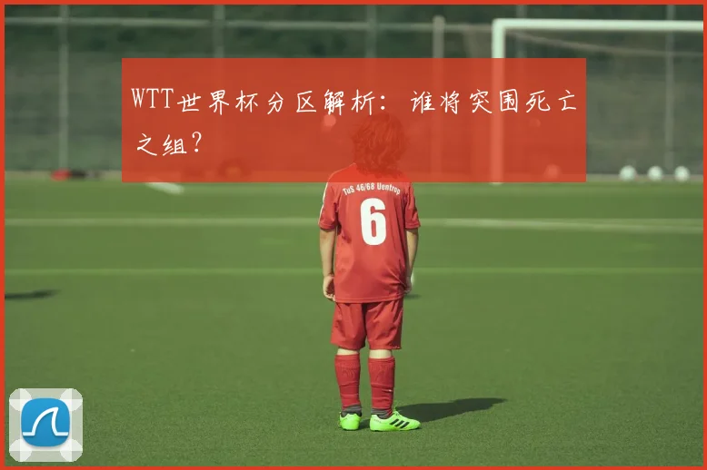 WTT世界杯分区解析:谁将突围死亡之组?