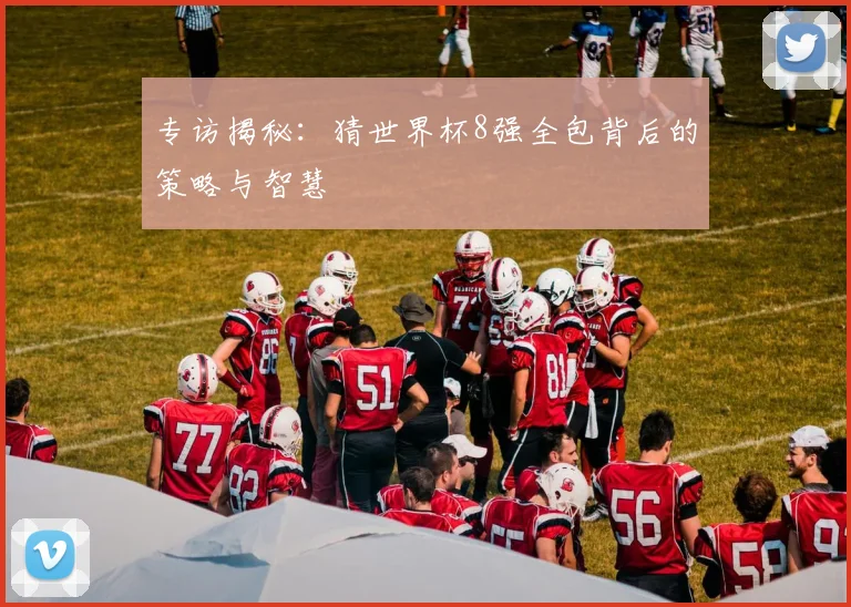 专访揭秘:猜世界杯8强全包背后的策略与智慧