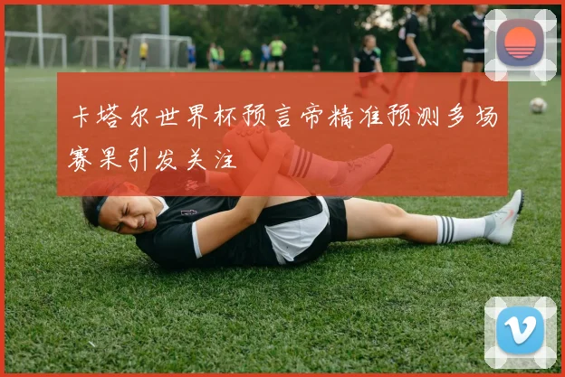 卡塔尔世界杯预言帝精准预测多场赛果引发关注