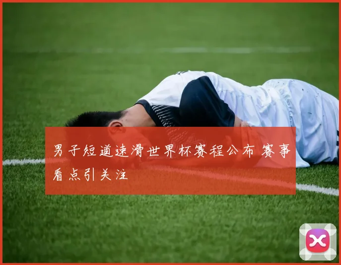 男子短道速滑世界杯赛程公布 赛事看点引关注