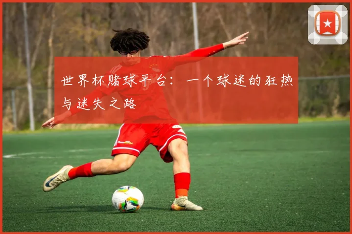 世界杯赌球平台:一个球迷的狂热与迷失之路